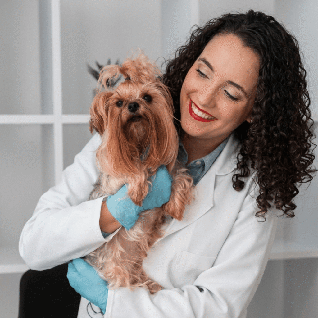 consulta veterinaria a domicilio