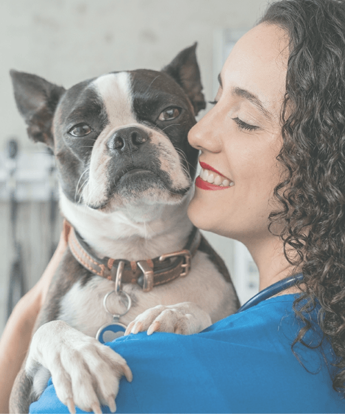 veterinaria a domicilio la rioja