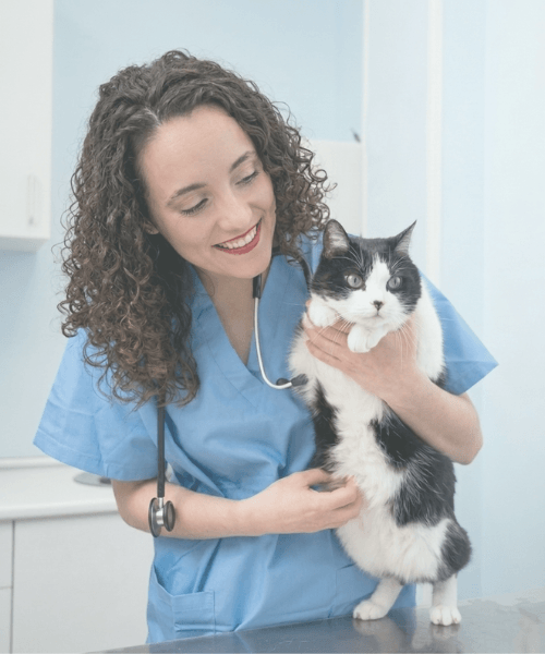 veterinaria a domicilio logroño